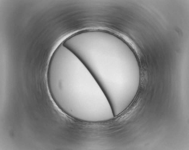 X0000115400951200911171515