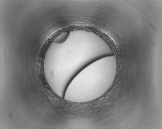 X0000115400968200911171514