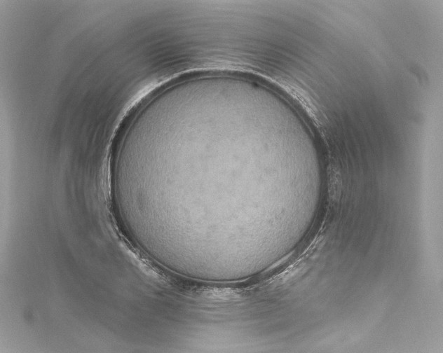 X0000115400982200911171514