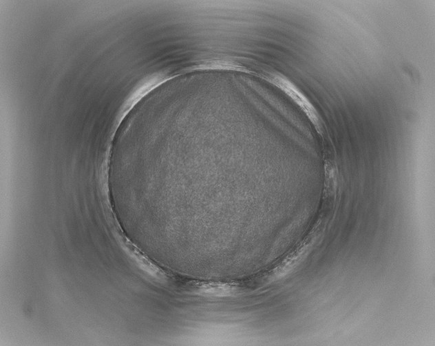 X0000115401002200911171513