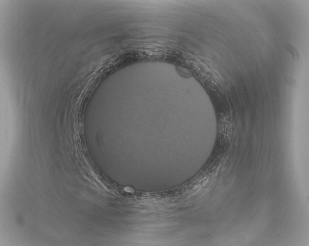 X0000115401009200911171513