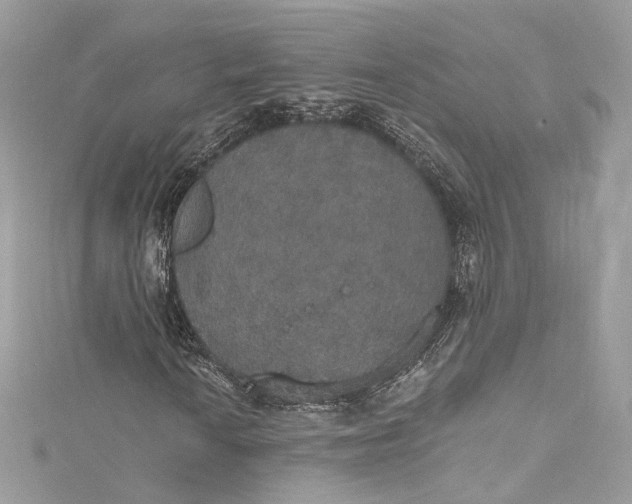 X0000115401010200911171513