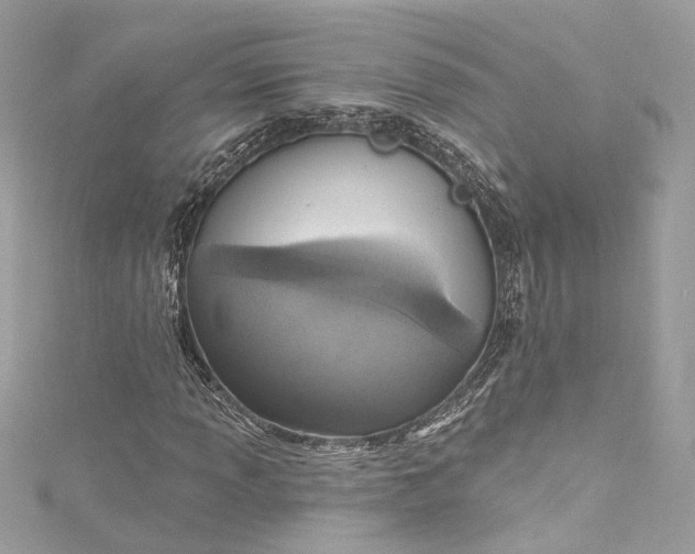 X0000115401013200911171513