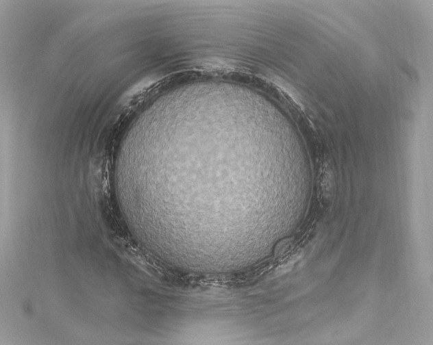 X0000115401016200911171513