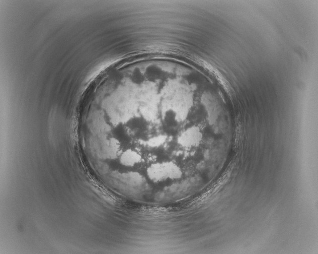 X0000115401019200911171513
