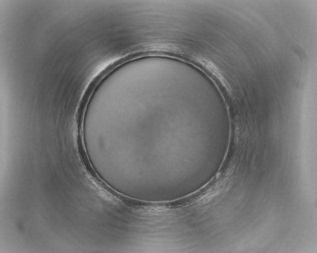 X0000115401024200911171513