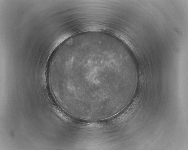 X0000115401026200911171513