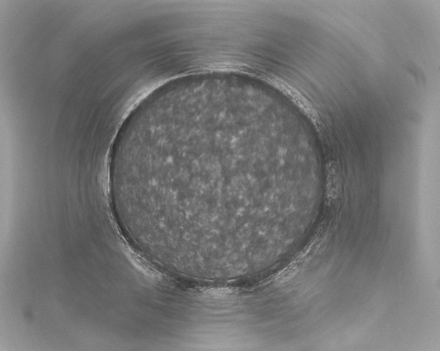 X0000115401031200911171513