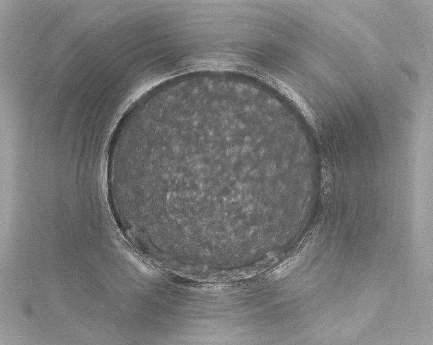 X0000115401035200911171513