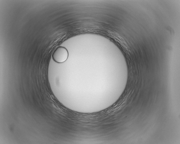 X0000115401060200911171512