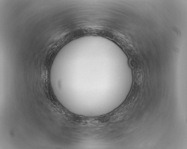 X0000115401061200911171512