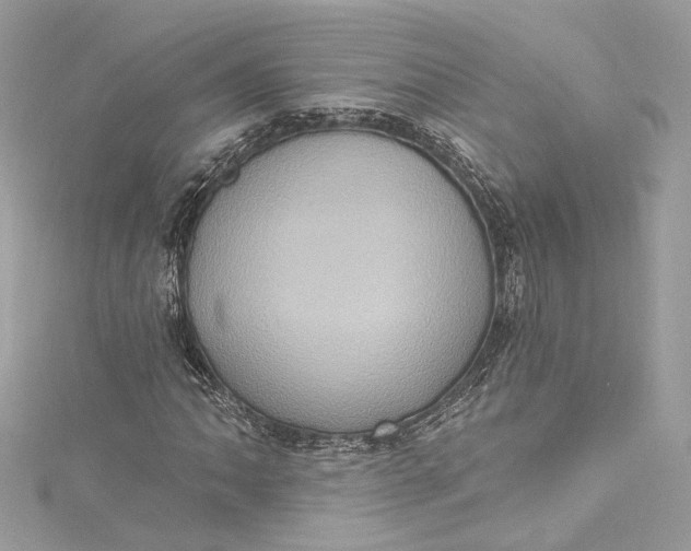 X0000115401062200911171512