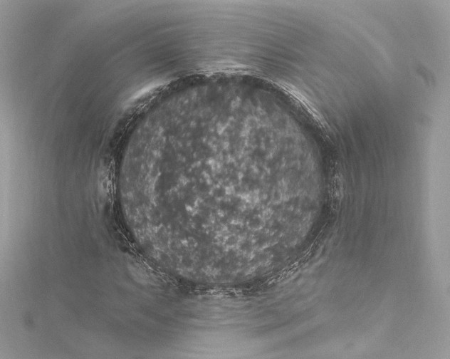 X0000115401063200911171512