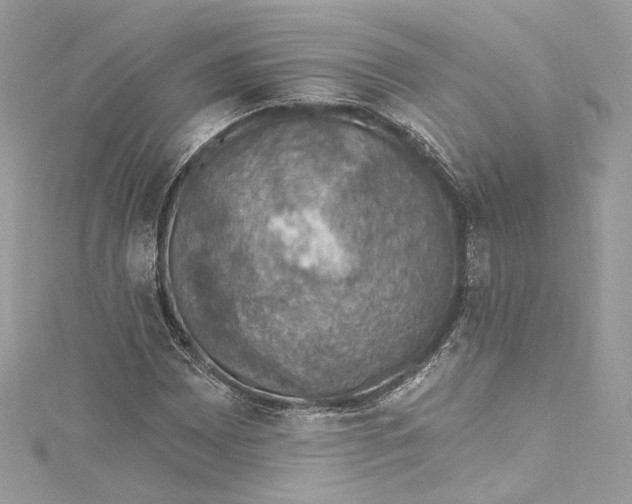 X0000115401065200911171512