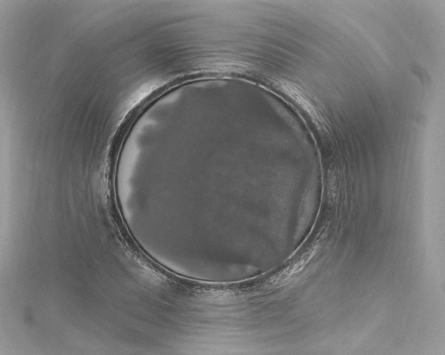 X0000115401071200911171512