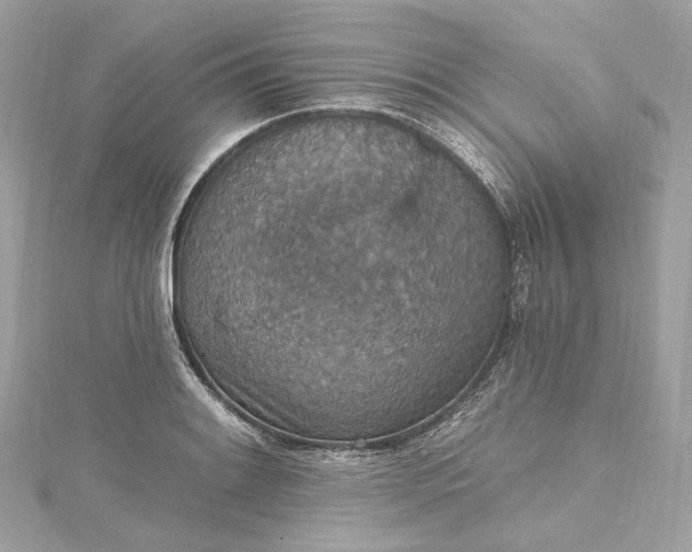 X0000115401084200911171512