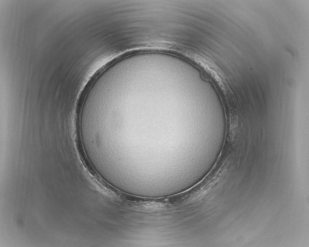 X0000115401085200911171512