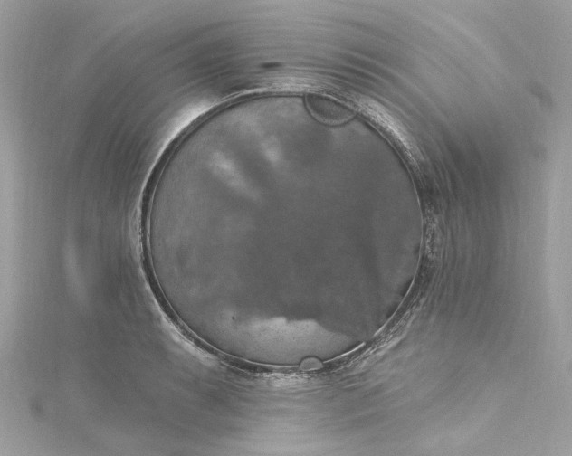 X0000115401087200911171512