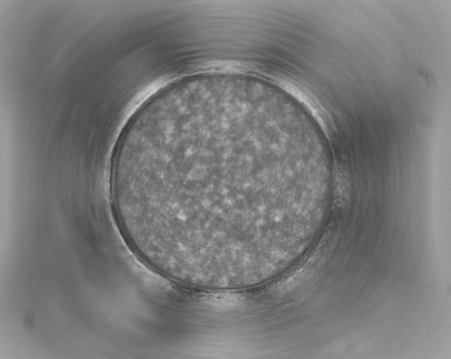 X0000115401090200911171512