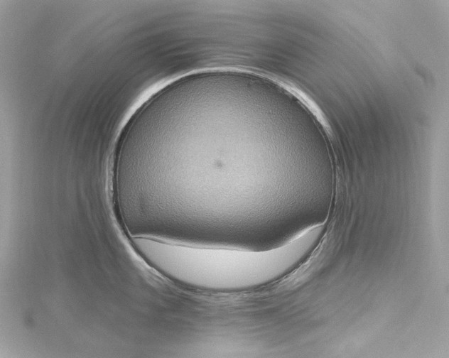 X0000115401101200911171512