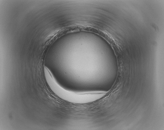 X0000115401110200911171511