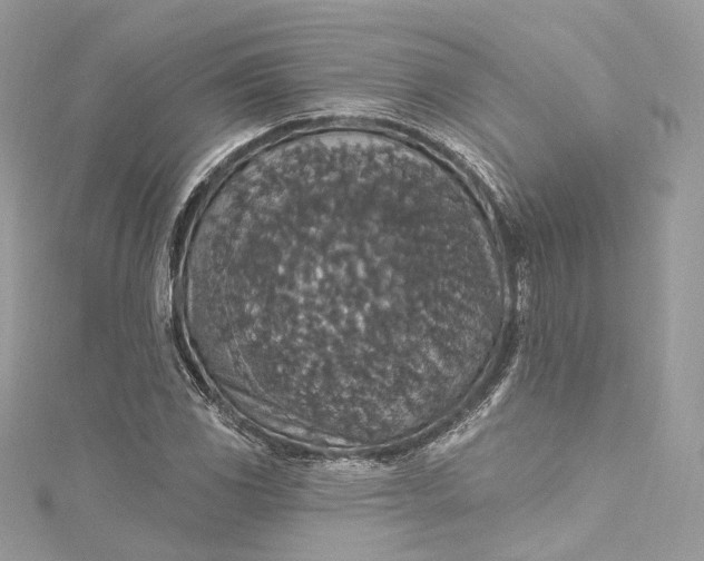 X0000115401117200911171511
