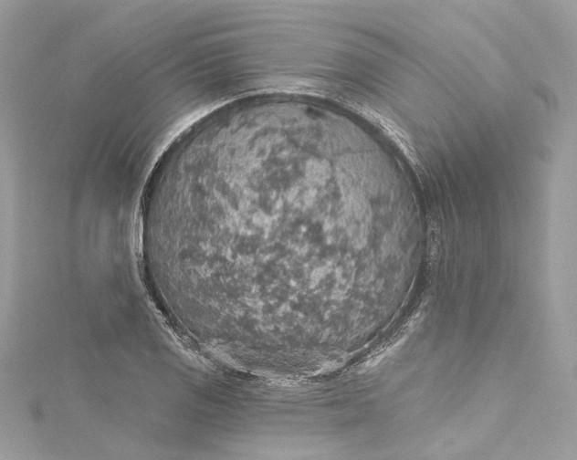 X0000115401125200911171511