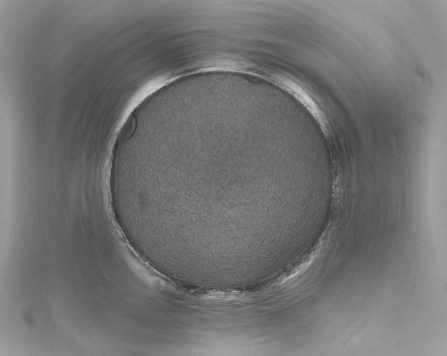 X0000115401146200911171512