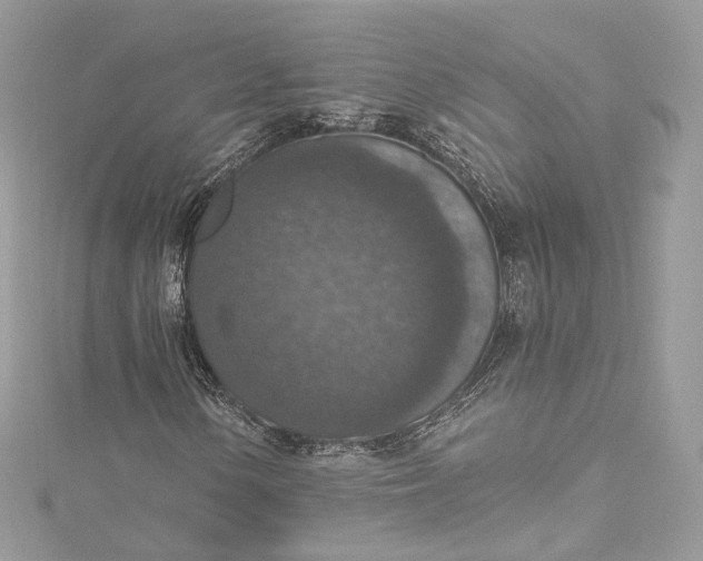 X0000115401154200911171511