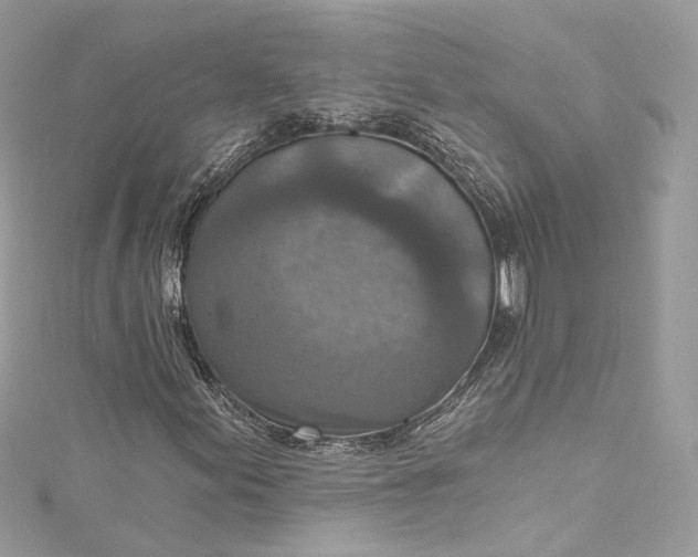 X0000115401155200911171511