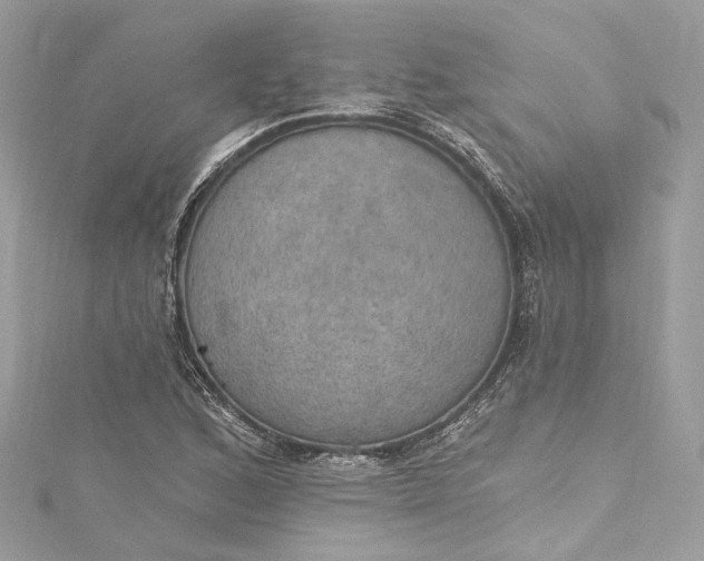 X0000115401168200911171511