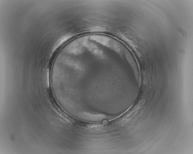 X0000115401171200911171511