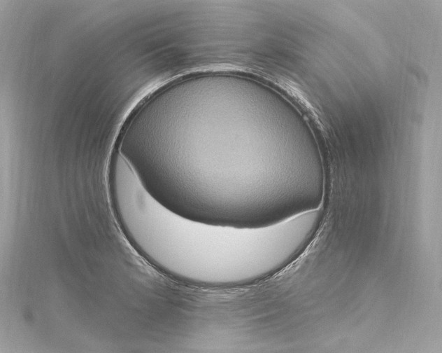 X0000115401181200911171511