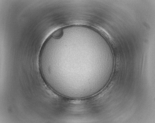 X0000115401182200911171511
