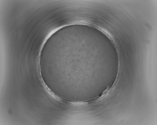 X0000115401200200911171511