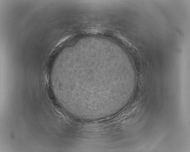X0000115401206200911171510