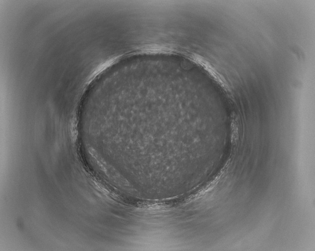 X0000115401213200911171510