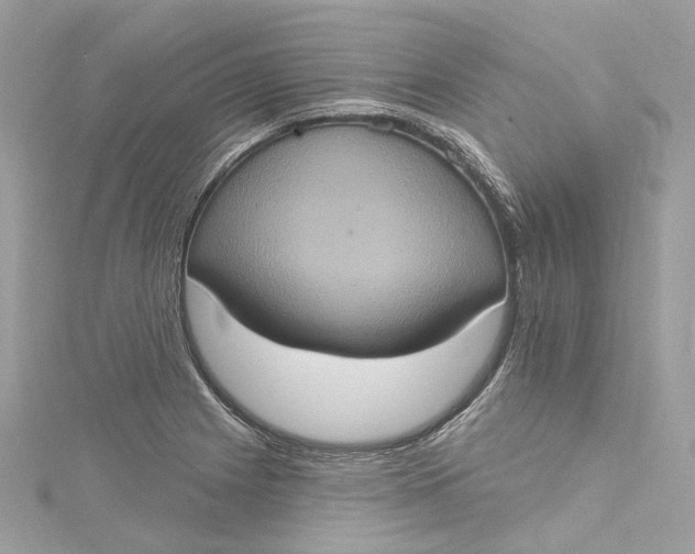 X0000115401225200911171510