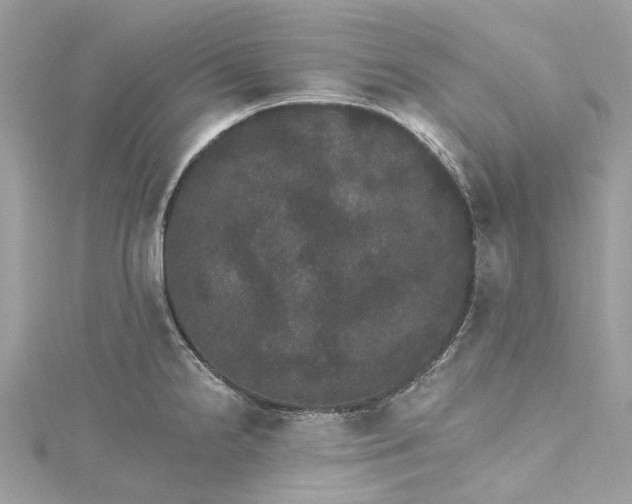 X0000115401238200911171510