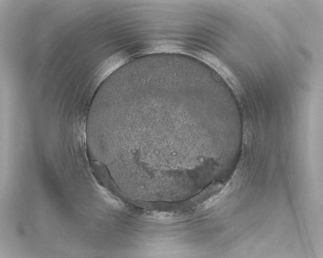 X0000115401241200911171510