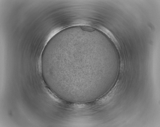 X0000115401242200911171510