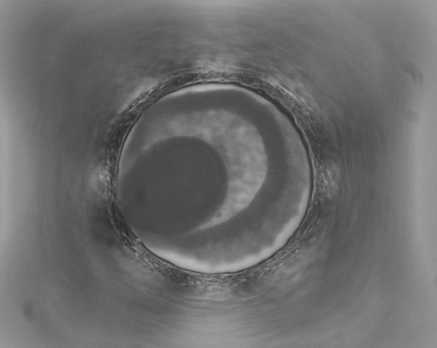 X0000115401254200911171510