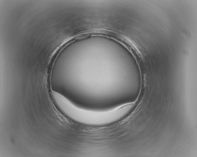 X0000115401260200911171510