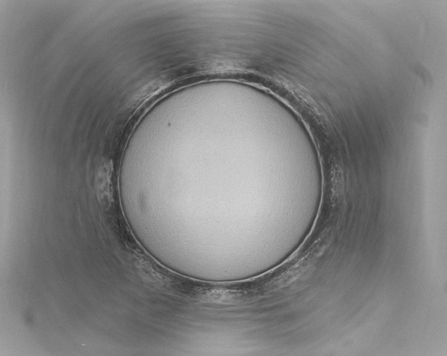 X0000115401265200911171510
