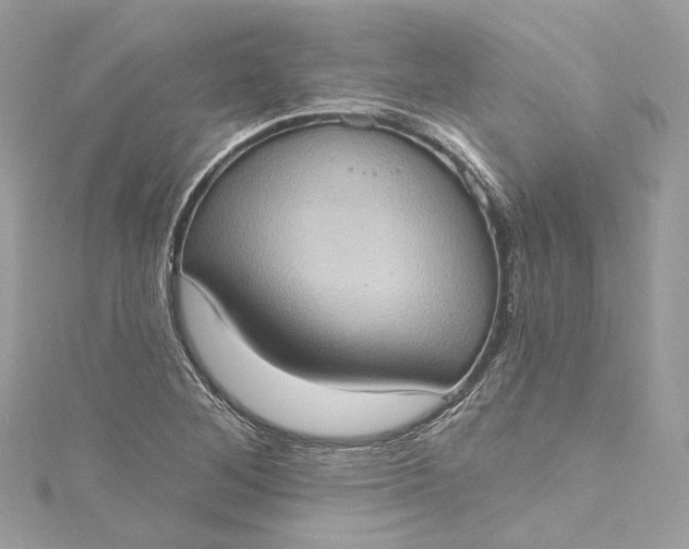 X0000115401268200911171510