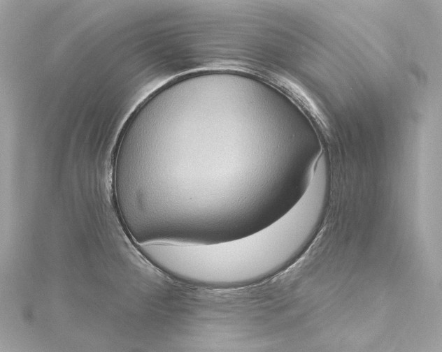 X0000115401284200911171509
