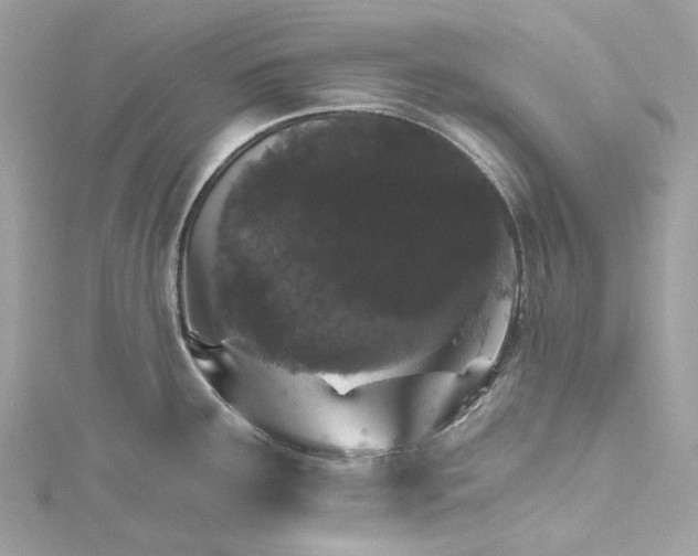 X0000115401291200911171509