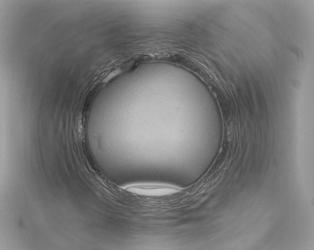 X0000115401298200911171509