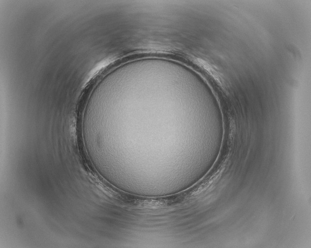 X0000115401307200911171509