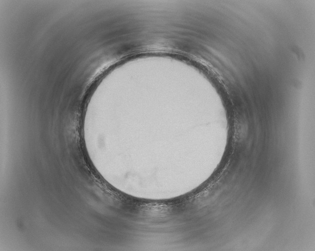 X0000115401314200911171509